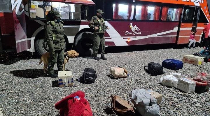Detienen a dos pasajeros que trasladaban más de 400 gramos de cocaína adosada al cuerpo (3)