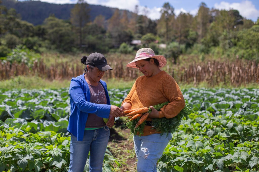 Personas Rurales 15 de octubre: Día Internacional de las Mujeres Rurales