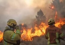 Chubut: el gobernador afirmó que los incendios fueron intencionales