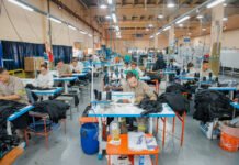 El mapa del empleo: Catamarca es la segunda provincia que más trabajo privado sumó