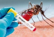 Confirman un caso autóctono de dengue en Andalgalá y refuerzan el bloqueo sanitario