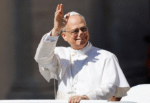 El papa pidió el fin de las guerras y lanzó una dura condena: “Son una vergüenza para la humanidad”