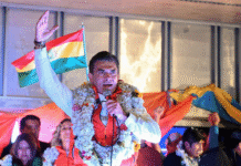 Milei viajará a Bolivia para la asunción de Rodrigo Paz, el presidente que rompió con la hegemonía socialista