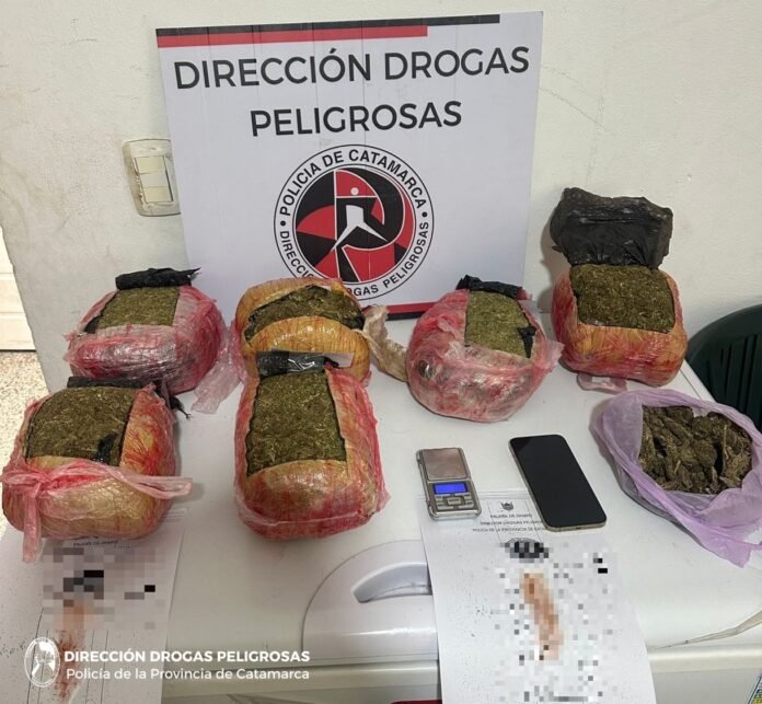 Dirección Drogas Peligrosas 1