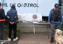 Detienen a un hombre y secuestran más de 1,7 kilos de marihuana en operativos en Paclín