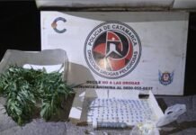 Detienen a dos hombres con marihuana, cocaína y ansiolíticos en un control sobre la Ruta 38