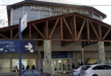 Confirman un caso de hantavirus en Bariloche y refuerzan las medidas de prevención