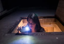 Este viernes nueva función del ciclo de cine “Terror en el Valle” en CATA