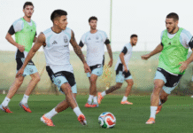 La Selección argentina enfrenta a Angola en su último partido del año