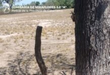 Un adolescente murió en un siniestro vial en Miraflores