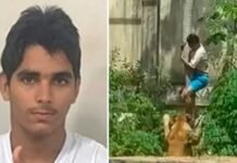 Murió tras entrar al recinto de una leona: quién era el joven y cuál era su historia