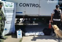 Secuestran casi 11 kilos de marihuana en un operativo de Gendarmería y la Policía de Catamarca en Paclín