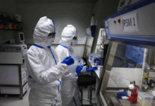 Detectaron en el país los primeros casos de gripe A H3N2 del subclado K