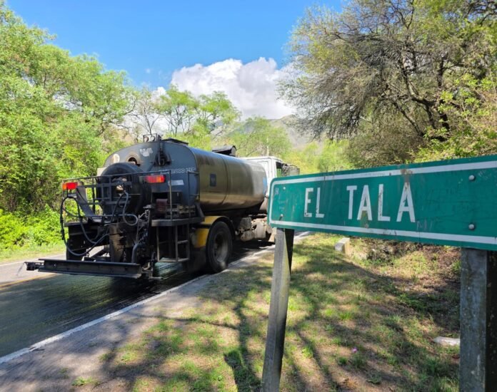 WhatsApp Image 2025-12-04 at 11.08.32