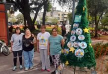 Faviatca arma el tradicional árbol de estrellas amarillas en la Plaza 25 de Mayo