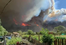 Incendios en Chubut: extinguieron 22 de los 32 focos, pero el fuego sigue activo y hay casi 12 mil hectáreas afectadas