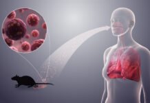 Murió una nena de 10 años por hantavirus en Buenos Aires