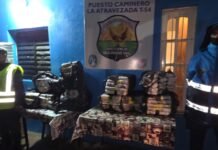 Secuestran unos 100 kilos de hojas de coca durante un control vehicular en Paclín