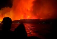 Confirman que el incendio en Puerto Patriada fue intencional y habrá denuncias penales