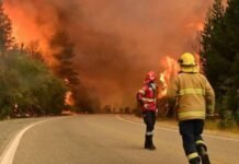 Alarma por incendios en la Patagonia: expertos advierten condiciones de alto riesgo y posibles meses críticos