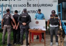 Incautaron más de un kilo de cogollos de marihuana en un colectivo sobre la Ruta 38