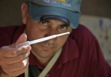 Control focal en la Capital: cronograma semanal