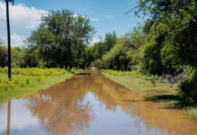 El Gobernador recorrió zonas inundadas en El Bañado y planifican acciones