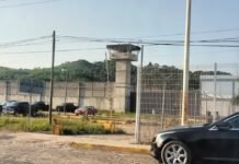 México: fuga masiva en el penal de Puerto Vallarta dejó un custodio muerto