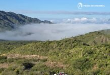 Rescate en plena madrugada: intenso operativo policial permitió hallar con vida a un joven extraviado en la montaña