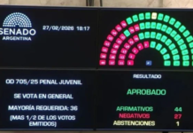 El Senado sancionó el Régimen Penal Juvenil y bajó la edad de imputabilidad a 14 años