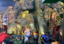 Carnaval de Río de Janeiro: una carroza fuera de control aplastó a tres personas