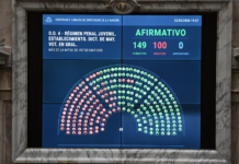 El Gobierno logró por amplia mayoría la media sanción en Diputados para bajar la edad de imputabilidad a 14 años