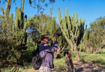 La Quebrada será el escenario del próximo safari fotográfico