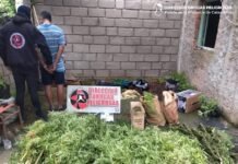 Allanamientos contra el Narcomenudeo en Paclín: Policías detuvieron a dos hombres, secuestraron droga, plantas y semillas de Marihuana