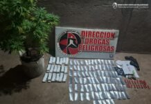 Operativo antidrogas en Valle Viejo: Secuestran Marihuana, ansiolíticos, un arma de fuego y un automóvil