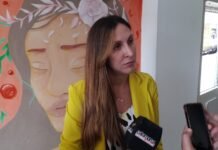 Saseta explicó el alcance del proyecto de reincidencia delictiva que obtuvo despacho en comisión