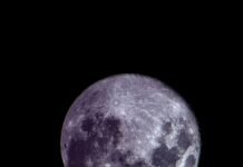 Hoy se podrá ver la Luna llena en Libra o Worm Moon