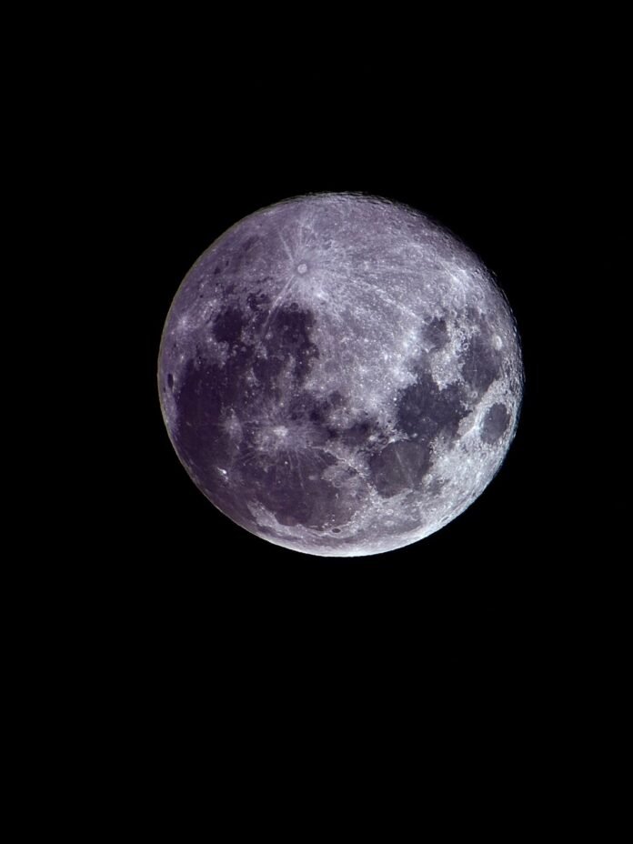 WhatsApp Image 2026-03-01 at 13.25.19