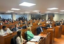 Diputados aprobó el acuerdo por el proyecto minero Diablillos