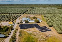 Con apoyo del CFI, emprendimientos productivos de Catamarca reconvierten sus sistemas de energía