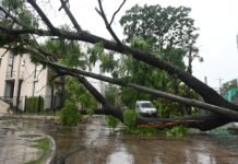 Más de 40 mil personas están sin luz en el AMBA tras un fuerte temporal