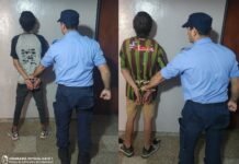 Intentaron robarle a una mujer y fueron detenidos tras un operativo en el norte de la Capital