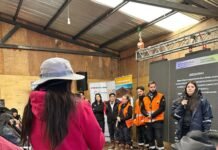 Audiencia pública por el proyecto Diablillos Metalífero