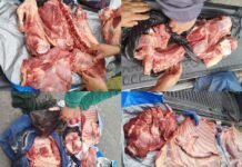 Incautan 50 kilos de carne sin refrigeración, detienen a un hombre y secuestran una camioneta en control policial
