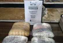 Secuestran 4 kilos de marihuana en un colectivo de larga distancia