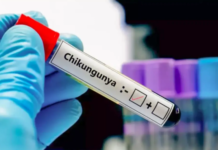 Nuevos casos de chikungunya en Córdoba: ya son 8 contagios confirmados