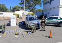 Narcotráfico: cuatro detenidos y más de 54 kilos de cocaína secuestrados en operativos en Catamarca, Santiago del Estero y Salta