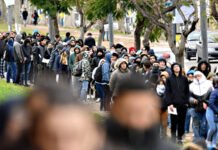7 de cada 10 argentinos perdieron oportunidades laborales por no cumplir con los requisitos