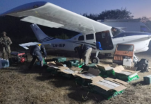 Descubrieron una avioneta narco en Santa Fe: incautaron 400 kilos de cocaína y hay ocho detenidos