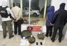 Importante operativo antidrogas en rutas catamarqueñas: secuestran más de dos kilos de marihuana y detienen a dos personas